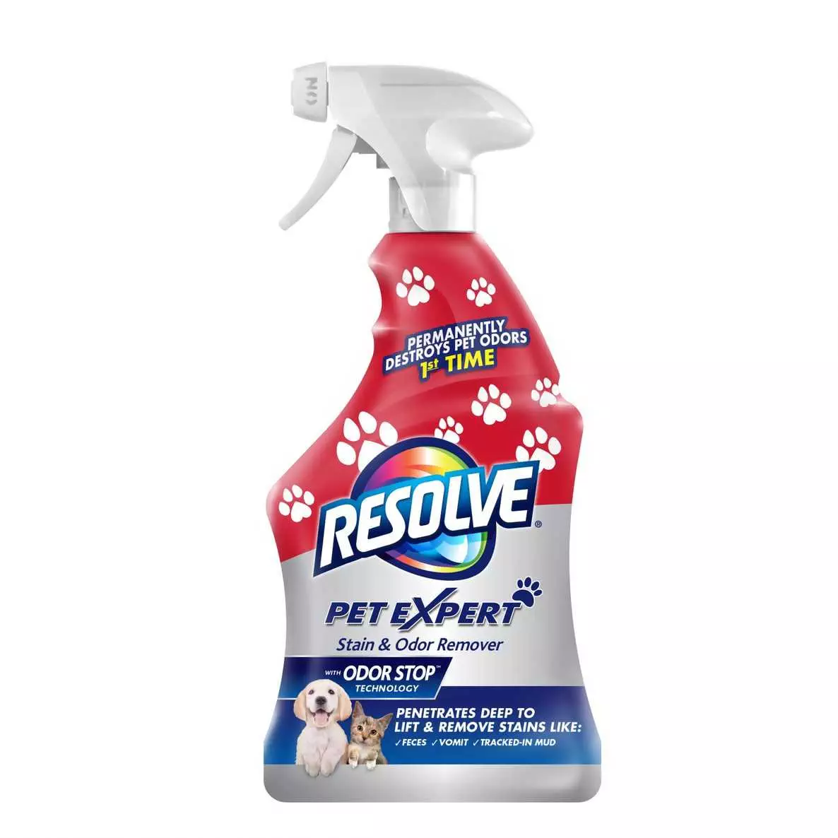 ALFOMBRAS MASCOTAS (MANCHAS/OLORES) 22OZ - 780339 RESOLVE